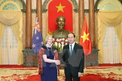 Le président vietnamien reçoit de nouveaux ambassadeurs
