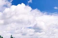 Les trois circuits qui séduisent le plus les touristes