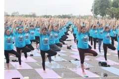 Journée internationale du yoga à Vinh Phuc 