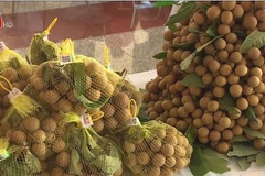 Cinq tonnes de longanes de Hung Yen expédiées aux Etats-Unis