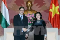 Promotion de la coopération législative Vietnam-Hongrie