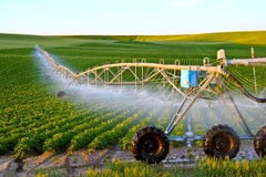 350 étudiants vietnamiens diplômés d’une formation en agriculure en Israël