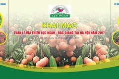 La Semaine des litchis Luc Ngan à Hanoï