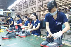 Dông Nai : exportations de plus de 6,6 milliards de dollars en cinq mois