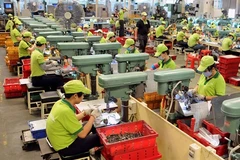  Rôle majeur du secteur privé dans le développement économique