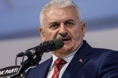 Développement de la coopération multiforme Vietnam-Turquie