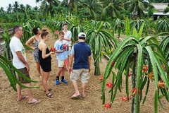 Tourisme: le Vietnam table sur l’objectif de 35 milliards de dollars dans 4 prochaines années