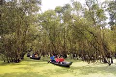 Les destinations attrayantes de la province d’An Giang
