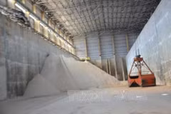 Dak Nong gagne 50 millions de dollars de l’exportation d'aluminium