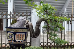 Exposition de plantes ornementales et d'oiseaux à Hanoi
