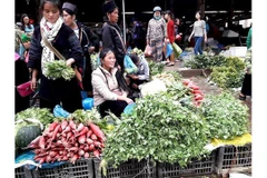 Promenade au marché de Sa Pa