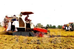 Hau Giang fait appel à l’investissement dans l'agriculture high-tech