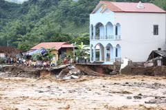 Aide de la Croix-Rouge du Vietnam pour les populations sinistrées des régions montagneuses du Nord
