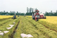Assurer la sécurité alimentaire dans le contexte du changement climatique