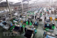 La coopération économique entre le Vietnam et le Japon se développe dans de nombreux domaines