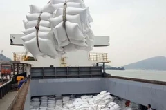 80.000 tonnes de riz vietnamien seront annuellement exportées dans l'UE