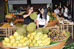 Bên Tre et Hô Chi Minh-Ville cherchent à établir leurs liens commerciaux