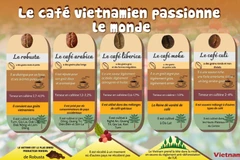 Le café vietnamien passionne le monde