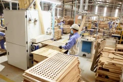 Transformation de produits au service des exportations. Photo: VNA