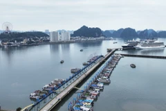 Les navires de croisière mouillent au port de croisière international d'Ha Long. Photo: baoquangninh.vn