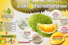 Percée spectaculaire du durian, rois des fruits du Vietnam