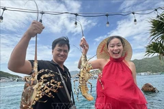 Actuellement, Cam Ranh possède environ 80 000 cages à homards, fournissant au marché environ 2.600 à 3.000 tonnes chaque année. Photo: VNA