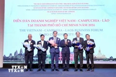 Les délégués au Forum d'affaires Vietnam-Cambodge-Laos de 2024. Photo: VNA