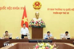 Le vice-président permanent de l'Assemblée nationale, Trân Thanh Mân, s'exprime lors de la 33e réunion du Comité permanent de l’Assemblée nationale. Photo: VNA