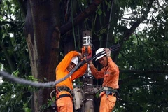 Rétablissement de l’alimentation en électricité à plus de 4,8 millions de clients. Photo: VNA