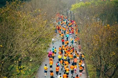 Les coureurs participent au marathon de Tràng An 2023. Photo: VNA