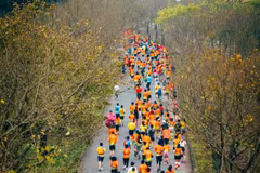 Les coureurs participent au marathon de Tràng An 2023. Photo: VNA