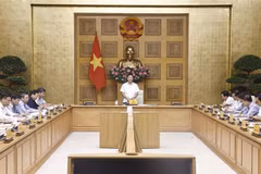 Le vice-Premier ministre Lê Thành Long s’exprime lors de la première réunion du Conseil national pour le développement durable, à Hanoi, le 24 septembre. Photo: VNA
