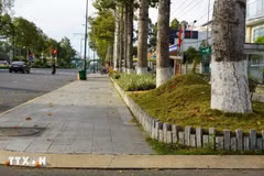 Le projet de rénovation des trottoirs et de la bande médiane de la rue Ly Thuong Kiêt (ville de Cao Lanh, province de Dông Thap) remporté à l’appel d’offre par l’entreprise Công Minh. Photo : VNA