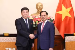 Le vice-Premier ministre et ministre des Affaires étrangères Bui Thanh Son (à droite) serre la main du vice-ministre des Affaires étrangères de la République populaire démocratique de Corée (RPDC) Pak Sang Gil. Photo : VNA
