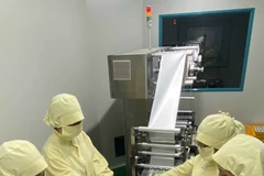 Des ouvriers au travail dans l'usine de la compagnie par actions Medcen, dans le parc industriel Hoa Binh, province de Long An (Sud). Photo : VNA