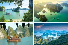 La baie de Ha Long est célèbre pour ses milliers de montagnes karstiques calcaires qui parsèment les eaux vertes et tranquilles