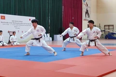 Karatedo est un des art-martiaux populaires à Hô Chi Minh-Ville. Photo: CVN