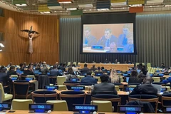 L’ambassadeur Dang Hoàng Giang, représentant permanent du Vietnam auprès de l’ONU. Photo : VNA