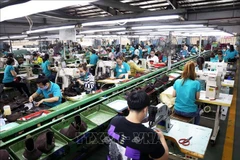 Dans la SARL de chaussures en cuir de Gia Dinh, à Hô Chi Minh-Ville. Photo: VNA