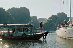 "Checker Tobi and the Journey to the Flying Rivers" emmènera le public dans des scènes de la grotte de Son Doong, de la baie d'Ha Long et de Hanoi. Photo gracieuseté de l'Institut Goethe de Hanoi