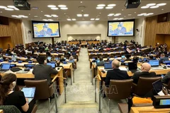 Vue de la 34e réunion du États parties à la CNUDM (SPLOS-34), tenue du 10 au 14 juin à New York. Photo: VNA