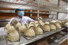 Les nids de salanganes représentent un met particulièrement apprécié en Asie et l’un des ingrédients pour la cuisine les plus chers au monde. Photo : VNA