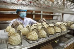 Les nids de salanganes représentent un met particulièrement apprécié en Asie et l’un des ingrédients pour la cuisine les plus chers au monde. Photo : VNA