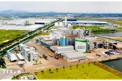 Un coin du parc industriel spécialisé de Phu My 3, dans la province de Bà Ria-Vung Tàu. Photo : VNA