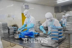 Transformation des produits aquatiques pour l’exportation chez la SARL des produits aquatiques, dans la ville de Vung Tàu (Sud). Photo : VNA