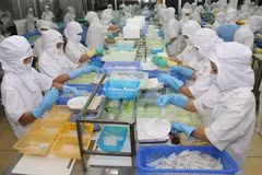 Le Vietnam et le Japon visent 60 milliards de dollars d’échanges