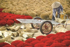 Déambulations à Thuy Xuân, village encensé à proximité de Huê
