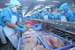 Le Vietnam exporterait 2 milliards de dollars de pangasius en 2018