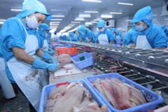 Le Vietnam exporterait 2 milliards de dollars de pangasius en 2018