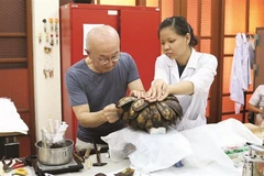 Le Vietnam a de riches collections à préserver